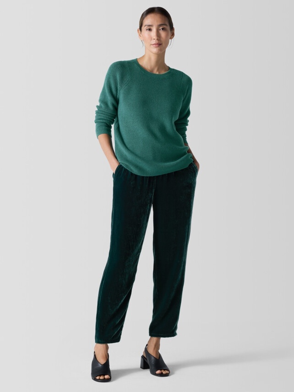 NWT Eileen Fisher Velvet High Pleated Waist Pull-On Tapered Ankle Pants Sz L